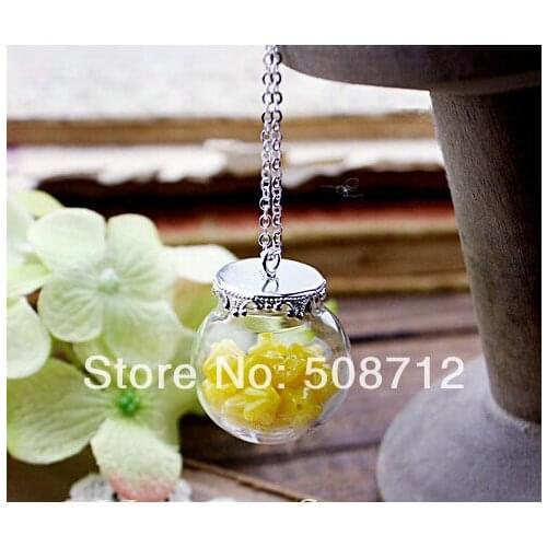 20sets 25mm (Opening 15mm) Large Clear Glass Globe Bottle with Silver Plated Brass Crown Cover