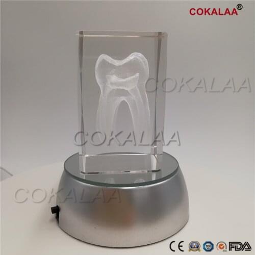 1 PCS Dentist Gift Crafts 3Glowing 3D Tooth Model Clear Crystal with base