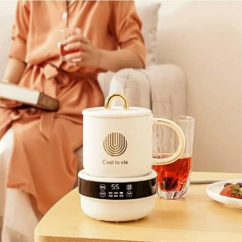 0.6L Health Cup Household Ceramic Glass Health Pot Electric Stew Cup Multifunctional Automatic Small Boiling Cup Device 220V