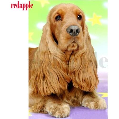 DIY 5D Square Diamond Embroidery dog Patterns Diamond Mosaic British cocker spaniel Handmade Diamond Painting Cross Stitch Kits