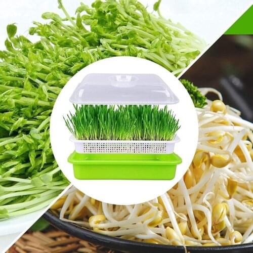 NHBR 4 Pack Garden Sprout Tray with Cover Soil-Free Seeds Grower and Storage Trays for Garden Home Kitchen Use