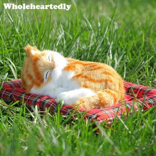 WHOLEHEARTEDLY Electrical Equipment For Cars