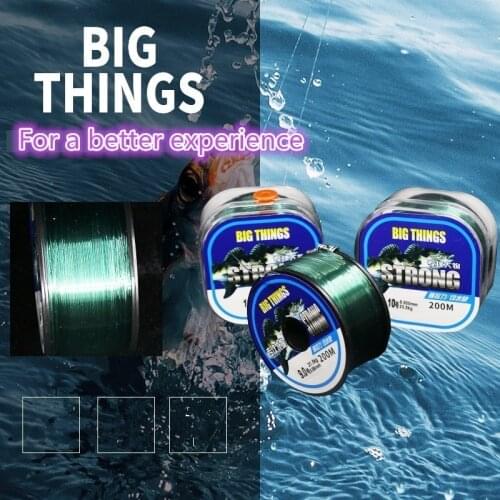 200m Nylon Line 60lb Big Fish Fishing Super Strong Rope Tools Carp Trout Pike Halter Trout Pike Bass Catfish Leash Material Wire