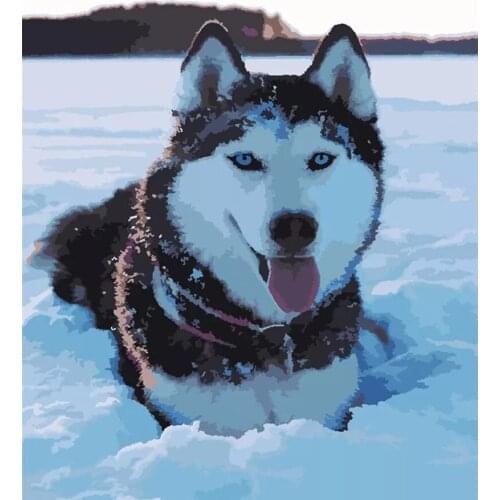 Canvas Size 5D Diy Diamond Painting Cross Stitch Kit Diamond Mosaic Embroidery "Dog" Painting Square/Round Drill Gift