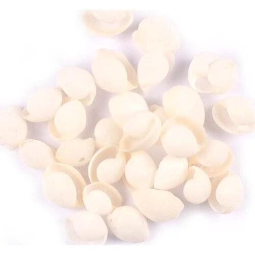 20Pcs 17-22mm No Hole Natural White Shells Beads Fish Tank Landscape For Hand Decorated Home Furnishings DIY Crafts Accessories