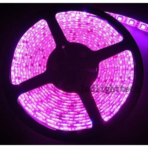 20M 4x 5M 300 Leds 5050 SMD RGB Flex LED Strip light waterproof 60led/M 24V DC