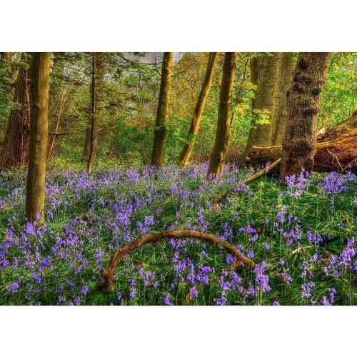 Forest Purple Flower Vinyl Photographic Backdrops for Wedding Lover Baby Background Photo Studio Photobooth Photo Shooting