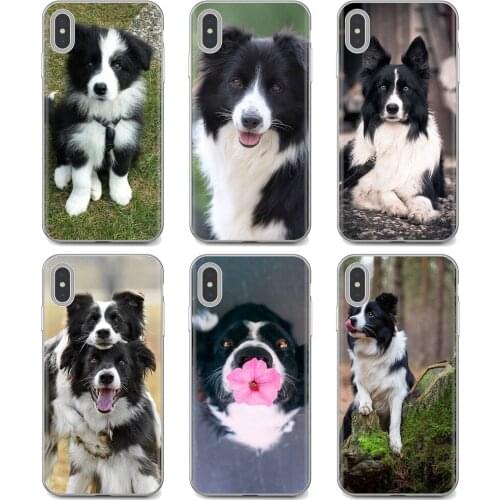 Border Collie Dog Breed Print Soft Case Covers For iPhone iPod Touch 11 12 Pro 4 4S 5 5S SE 5C 6 6S 7 8 X XR XS Plus Max 2020