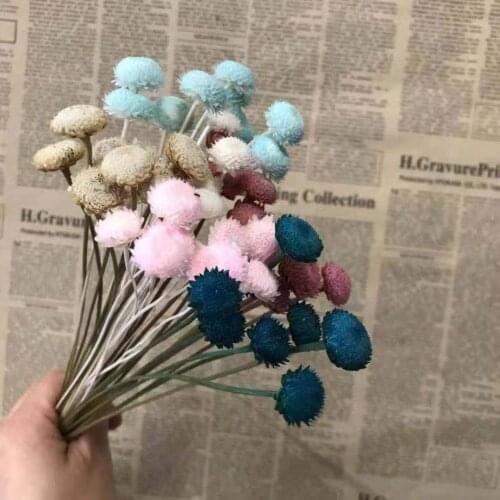 60pcs/1-2cm Head,Real Dried Diamond Flowers,Mini Brazil Chrysanthemum Eternal Branch For display Wedding Party Home Decorations