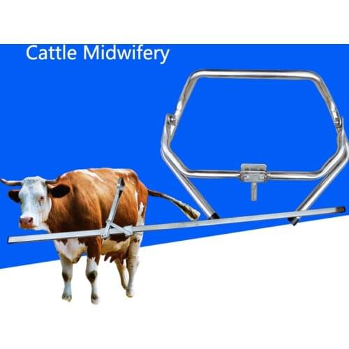 Uvet Veterinary Cattle Midwifery Cow Midwifery Animal Dystocia produce Auxiliary equipment Vet Livestock equipment
