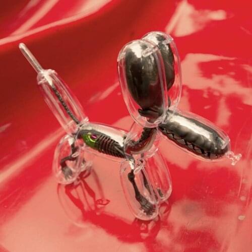 26 Pieces 4D MASTER Vision Toys Transparent Assembly Big Balloon Dog Anatomy Model Learning Teaching Tools Ornament Gift