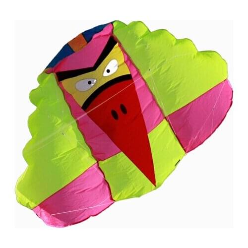 New High Quality 2.5 sqm Nylon Traction kite NPW5 Good Flying