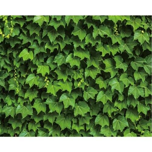 Green Leaf Natural Plant Backdrop Baby Shower Party Birthday Room Decor Photo Booth Studio Prop