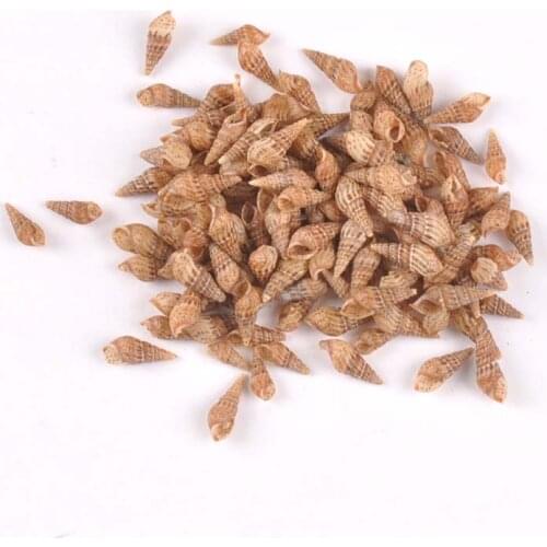 200pcs 8-13mm Brown Spiral Natural Shells DIY Scrapbook Craft Seashells For Glass Bottle Home Decor Accessories 9-13mm tr0244