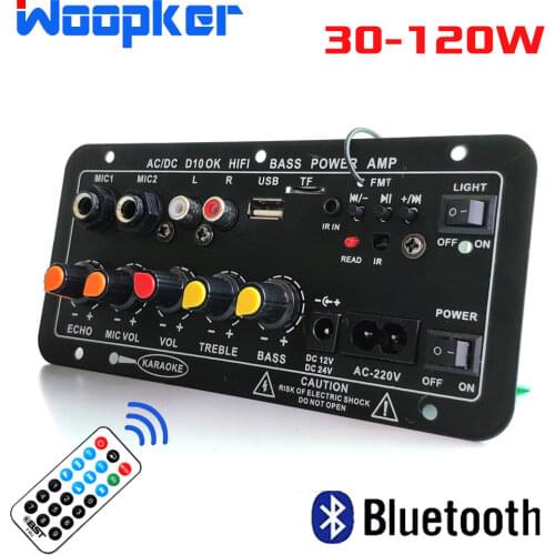 Woopker Digital Bluetooth Stereo Amplifier Board 220V Subwoofer Dual Microphone Karaoke Amplifiers for 8-12 inch Speaker 12/24V