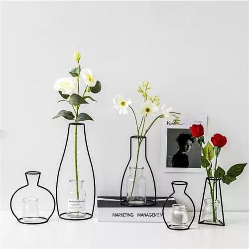 Eruzaray Glass Flower Vases