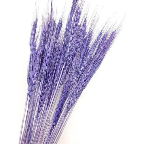 25 sticks/bundle natural wheat dried flower decoration