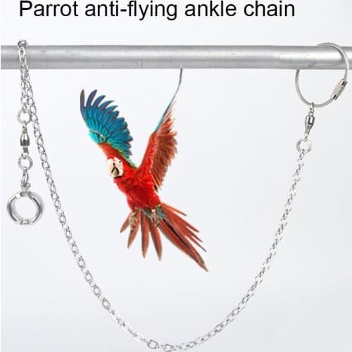 Hot Sale Pet Bird Pigeon Parrot Leg Ring Bird Ring Outdoor Flying Training Activity Opening Foot Ring Accessories Bird Supplies