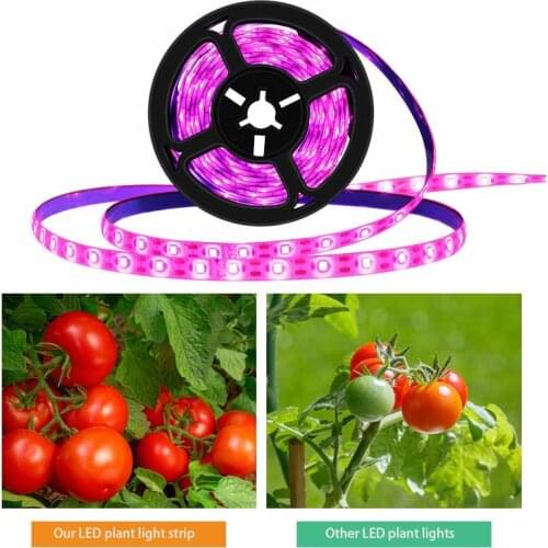 Лампы для растений Lamgool China At AliExpress