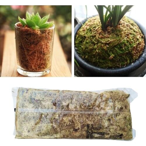 Natural Reptile Moss for Reptile Amphibian Insects Enclosures, Sphagnum Moss Terrarium Substrate
