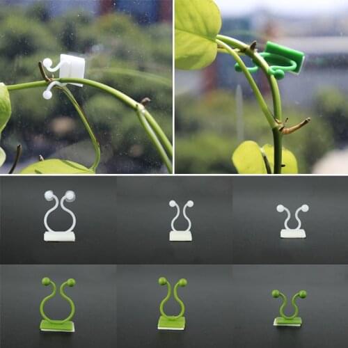 10/20 PCS Invisible Wall Vines Fixture Wall Sticky Hook Self-Adhesive Climbing Vine Plant Fixer Home Garden Decoration Holder