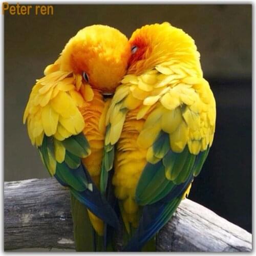 Peter ren Diamond embroidery kit Diy diamond painting Cross stitch full 3d square drill rhinestone Diamond Mosaic Yellow parrot