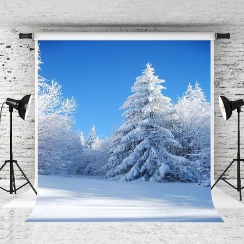 VinylBDS Winter Photographic Background Snow Tree Snow Sky Backdrops Princess Kids Summer Send Rolled 10x10ft