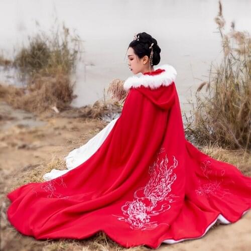 Chinese Traditional Tang Dynasty Ancient Princess Cloak for Women Embroidery Cloak Hanfu Coat Vintage Fairy Hooded Capes DWY3945
