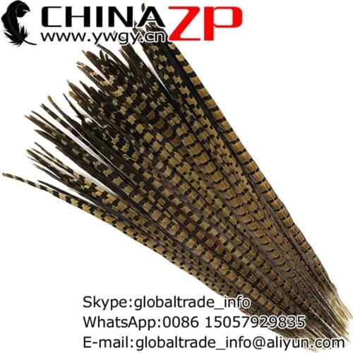 CHINAZP Factory 100pcs/lot Large Size from 20inch to 22inch(50-55cm) Unique Natural Ringneck Pheasant Tail Feathers