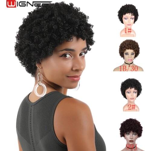 Wignee Short Afro Kinky Curly Human Hair Wigs For Black/White Women Remy Brazilian Glueless Curly Human Wig 2#/1#/99J/Brown Hair