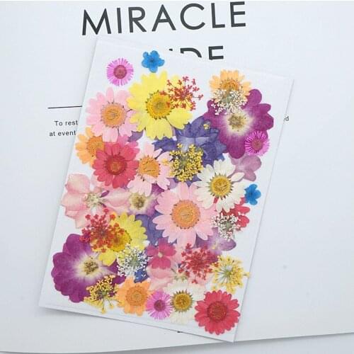 1 Bag DIY Accessories Real Dried Flower Dry Plants for Aromatherapy Candle Epoxy Resin Pendant Necklace Jewelry Making Craft