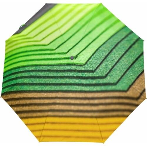 Gradient Ramp Printed Automatic Umbrella Wind Resistant Folding Automatic Umbrellas Men Women Luxury Big Windproof Umbrellas