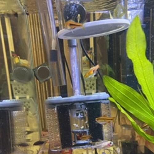 九岭阳光 Equipment For Aquariums