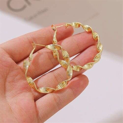 Contracted Fashion Twist Frosted Circle Earrings Women Punk Style Earring Ornaments