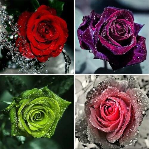 Huacan Diamond Painting Full Square Rose Diamond Mosaic 5d Flower Beads Embroidery Paintings For Interior Home Decoration