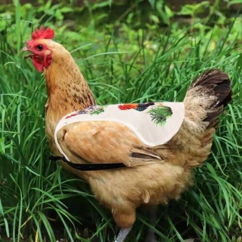 NHBR Hen Apron Chicken Duck Vest Chicken Clothes Poultry Hen Saddle Apron Feather Protection for Chicken and Duck