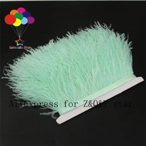 Z&Q&Y natural beautiful ostrich hair dyed deep mint green made cloth side performance clothing decoration DIY crafts feather