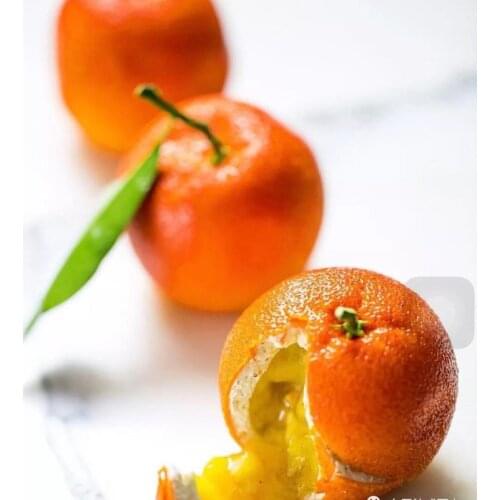 8 Oranges Pudding Cup Art Cake Mould Pan 3D Silicone Mold Mousse Silicon Mold