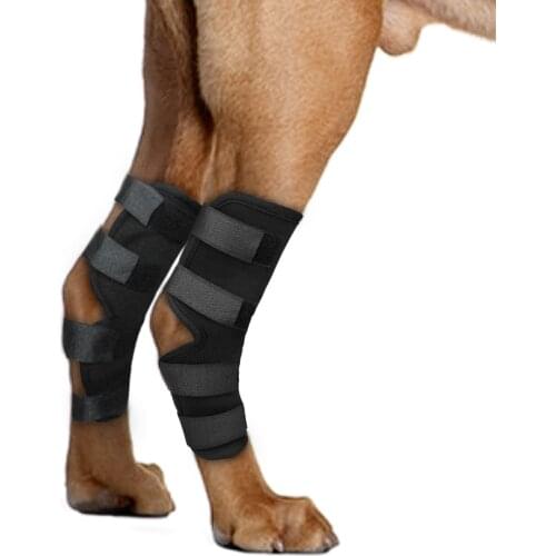 Dog Recovery Sleeve Knee Pad Large Dog Support Ankle Brace Breathable Hind Leg Hock Joint Wrap Injury Recover Dog Legs Protector