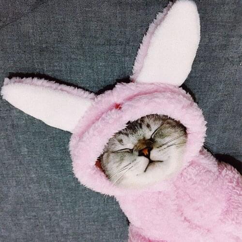 OIMG Clothes For Cats