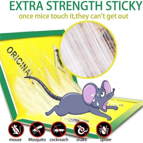 KITPIPI Rodent Traps