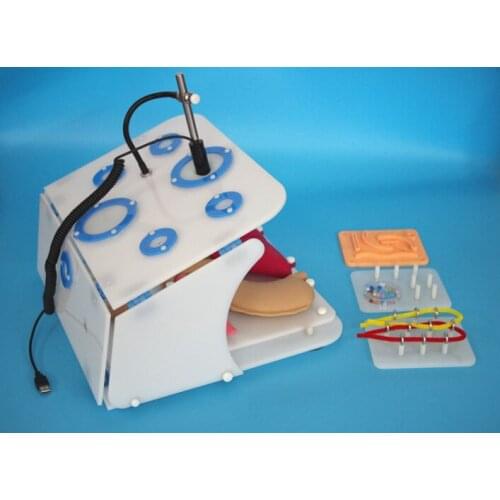 Laparoscopic simulation for training, Large-type,Silastic organic model