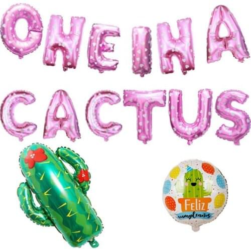 Cactus Party Supplies Party Decorations – “ONE IN A CACTUS” Summer Party Banner Foil Balloons – Tropical Fruit Theme Luau Party