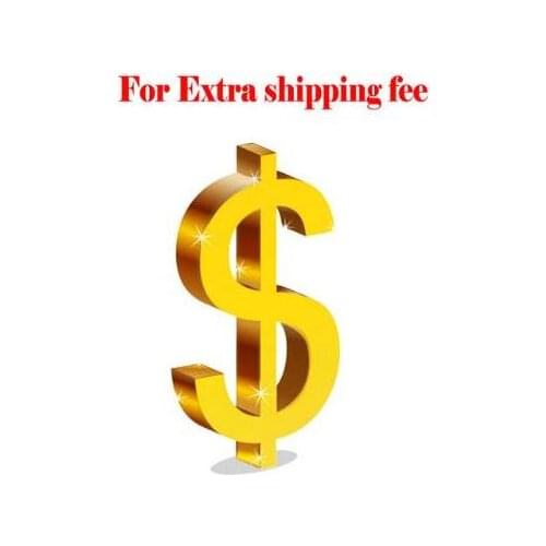 Replace Link, Extra Fee, DHL EMS Aramex Cost, Other Cost