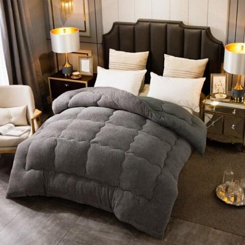 2021 Autumn Winter Thicken Warm Lamb Wool Quilt Blanket Single Double King Queen Bed Duvets Hotel Comforter Cover Home Bedding