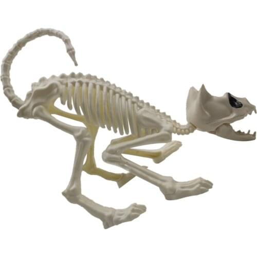 1Pc Crouching Cat Skeleton Cat Model Creepy Animal Bones for Decoration (White)