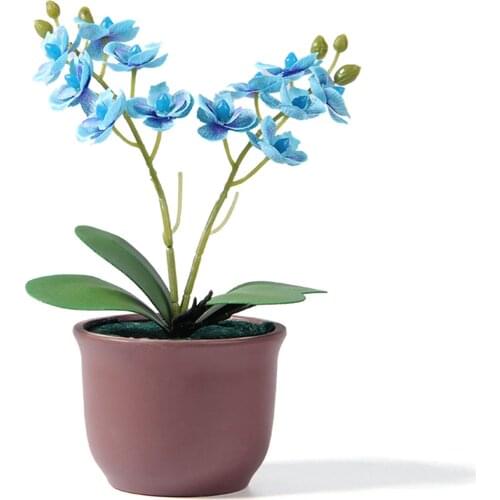 Artificial Phalaenopsis Plant with Clear Lines Highly Simulated Garden Decoration