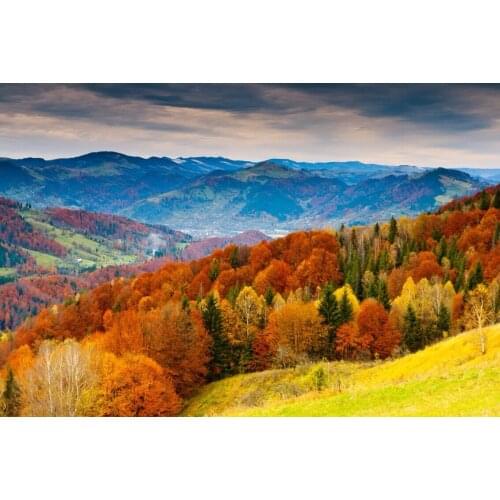 Autumn in Switzerland The wooden puzzle 1000 pieces ersion jigsaw puzzle white card adult childrens educational toys