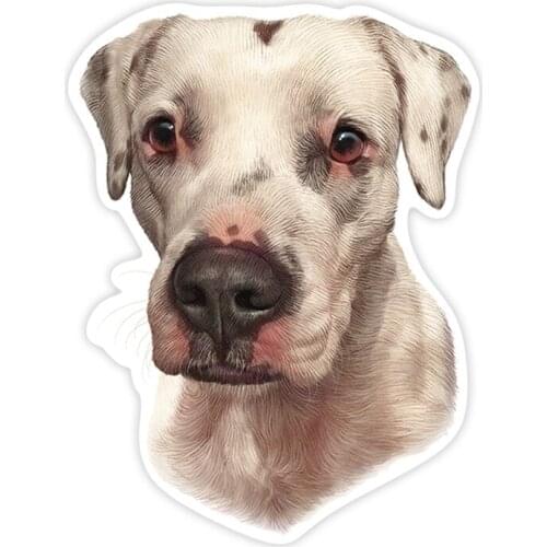 A0193# 13 cm/17 cm Self-adhesive Argentine Dogo Decal Car Sticker Waterproof Auto Decors on Bumper Rear Window Laptop