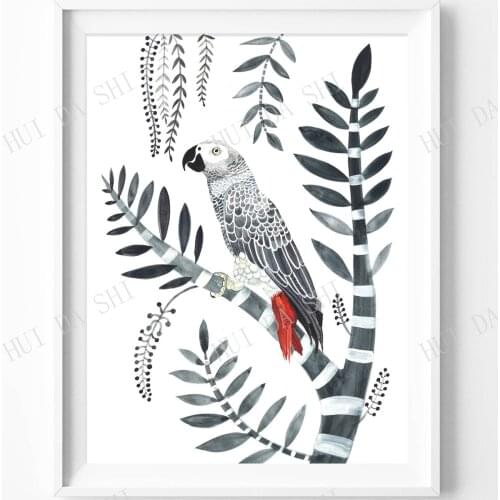 African Grey Parrot, parrot print, bird lover gift, Wall art, Wall Decor, Tropical print, exotic bird, australian sellers